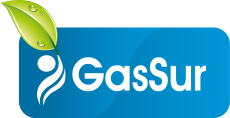 Gassur