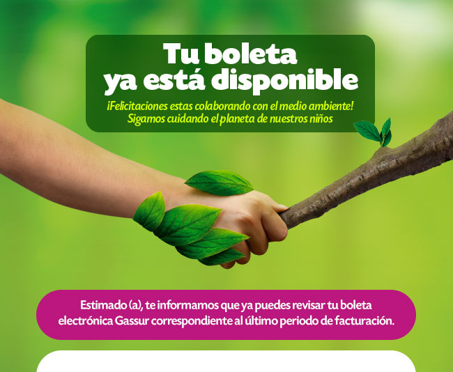 Tu boleta ya está disponible