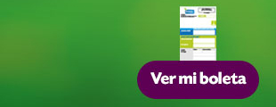 Ver mi boleta.