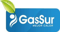 Gassur