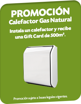 Calefactores a Gas Natural