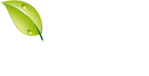 Gassur
