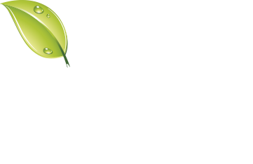 gassur